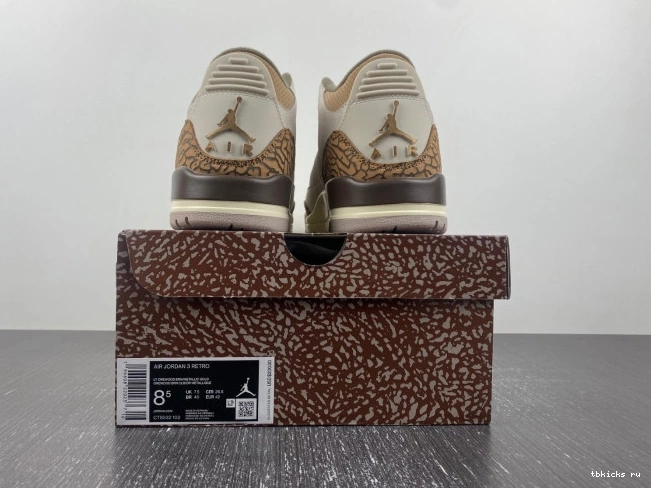 Reps TB Jordan 3 CT8532-102 Air Palomino 0724